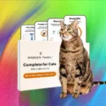 The best at home pet dna test kits tested on my cats
