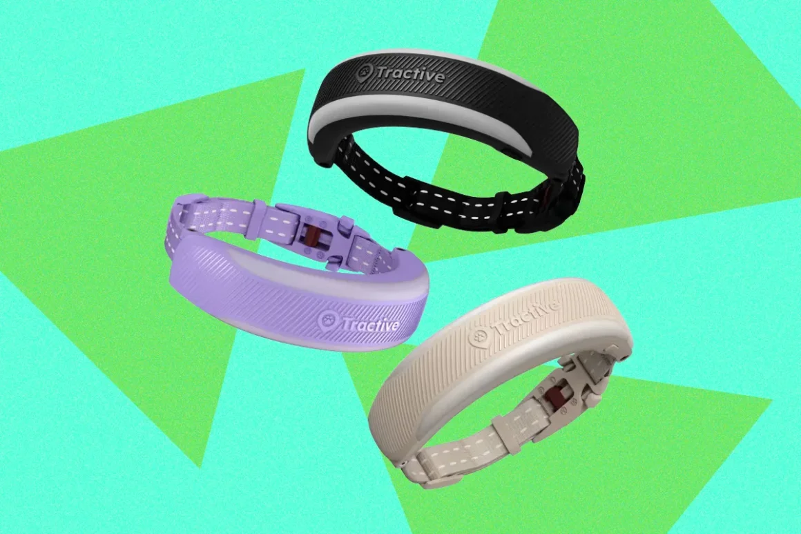 Review the tractive cat 6 mini is a fitbit for your cat top art 092026 source tractive